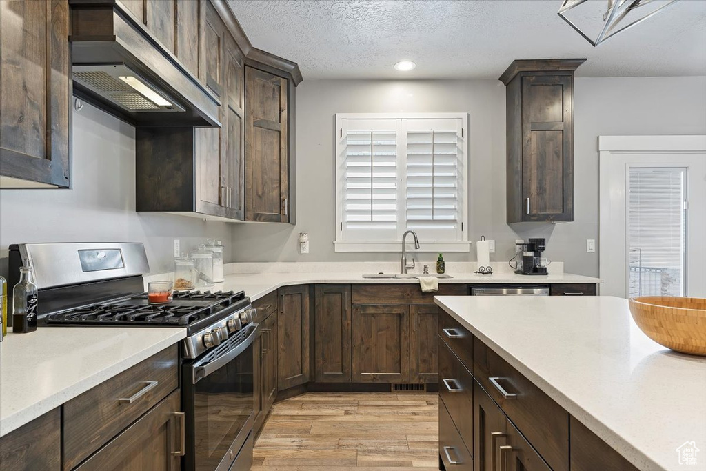 Kitchen featuring stainless steel appliances, extractor fan, a sink, dark brown cabinetry, and light wood finished floors