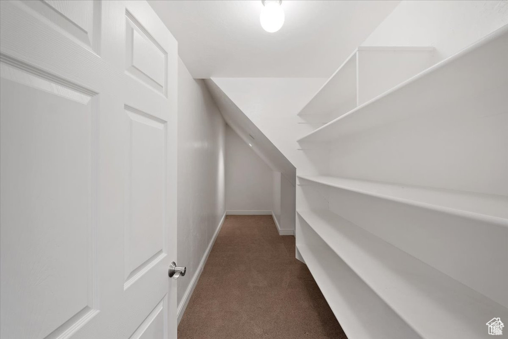 Interior space with dark carpet