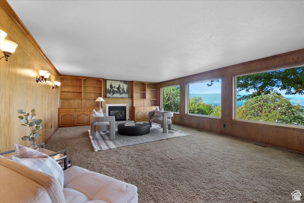 Carpeted living room featuring wood walls, built in features, and a textured ceiling