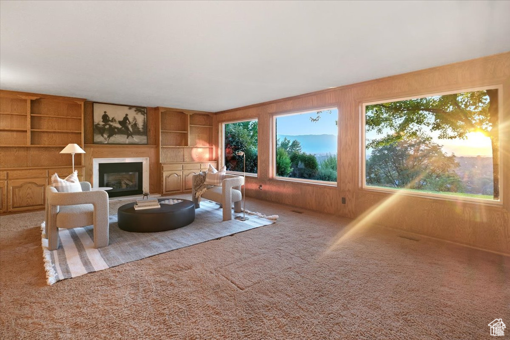 Carpeted living room with built in shelves and wood walls