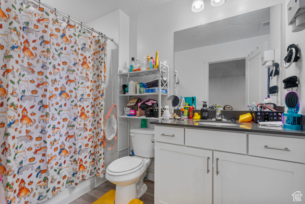 Bathroom with vanity, wood-type flooring, a textured ceiling, and toilet