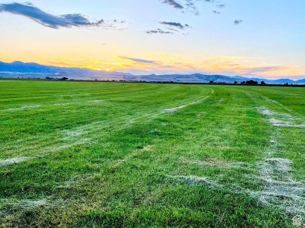 Yard at dusk featuring a rural view