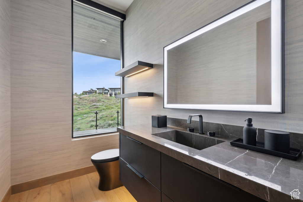 Bathroom featuring toilet, vanity, and wood finished floors