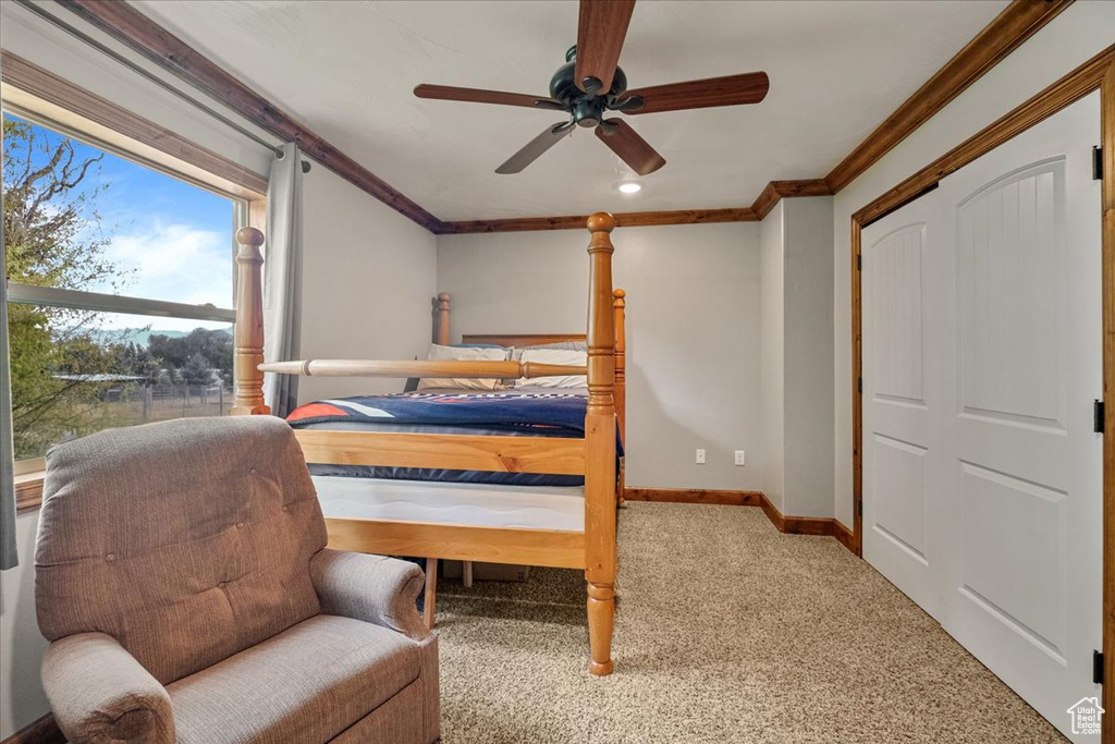 Carpeted bedroom featuring a closet, ceiling fan, and crown molding