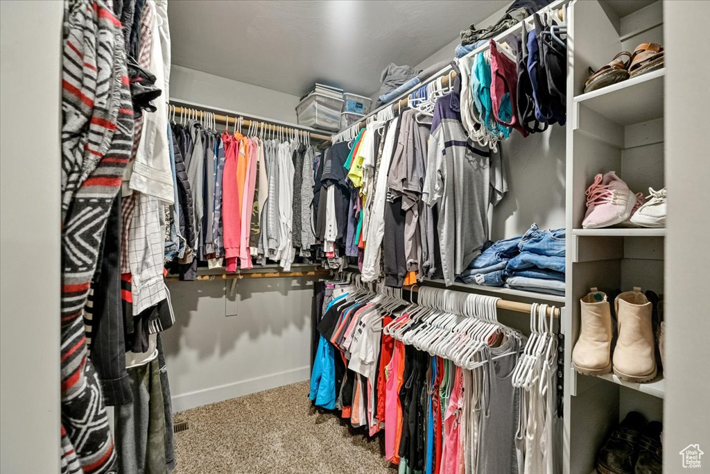 Spacious closet featuring carpet floors