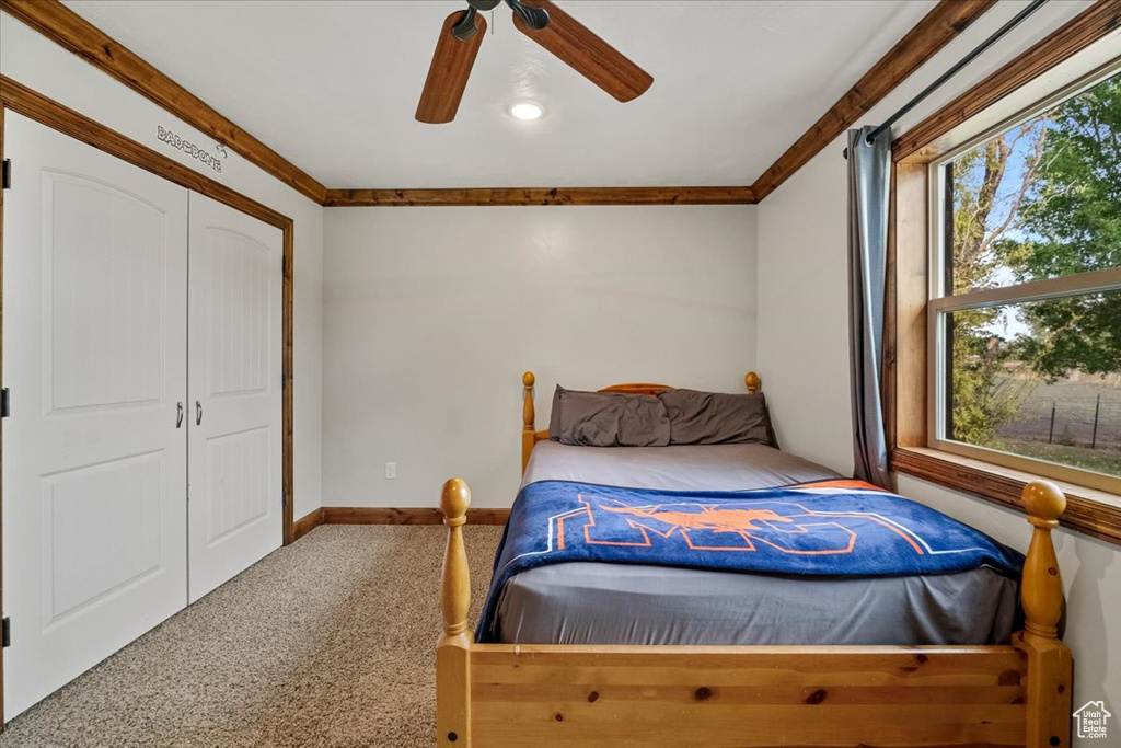 Bedroom featuring carpet, a closet, ceiling fan, and crown molding