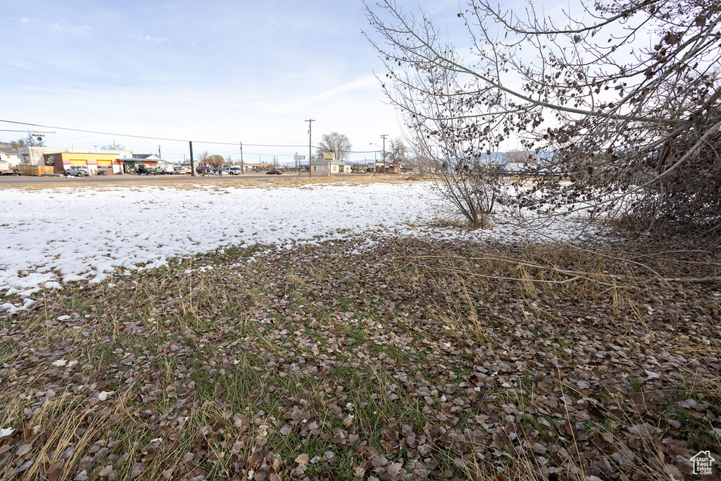 View of snowy yard