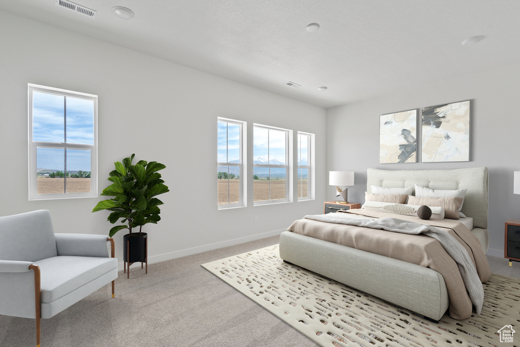 Carpeted bedroom with multiple windows and baseboards