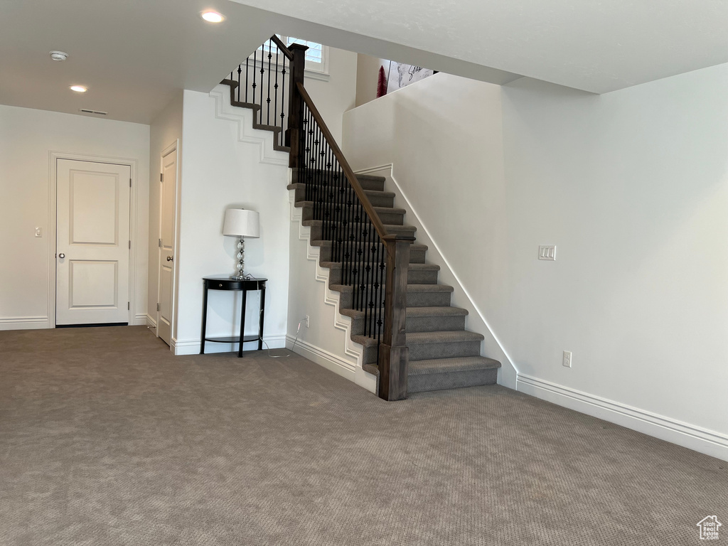 Staircase featuring carpet floors