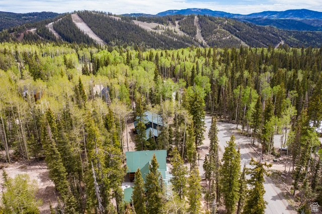 Bird's eye view with a mountain view
