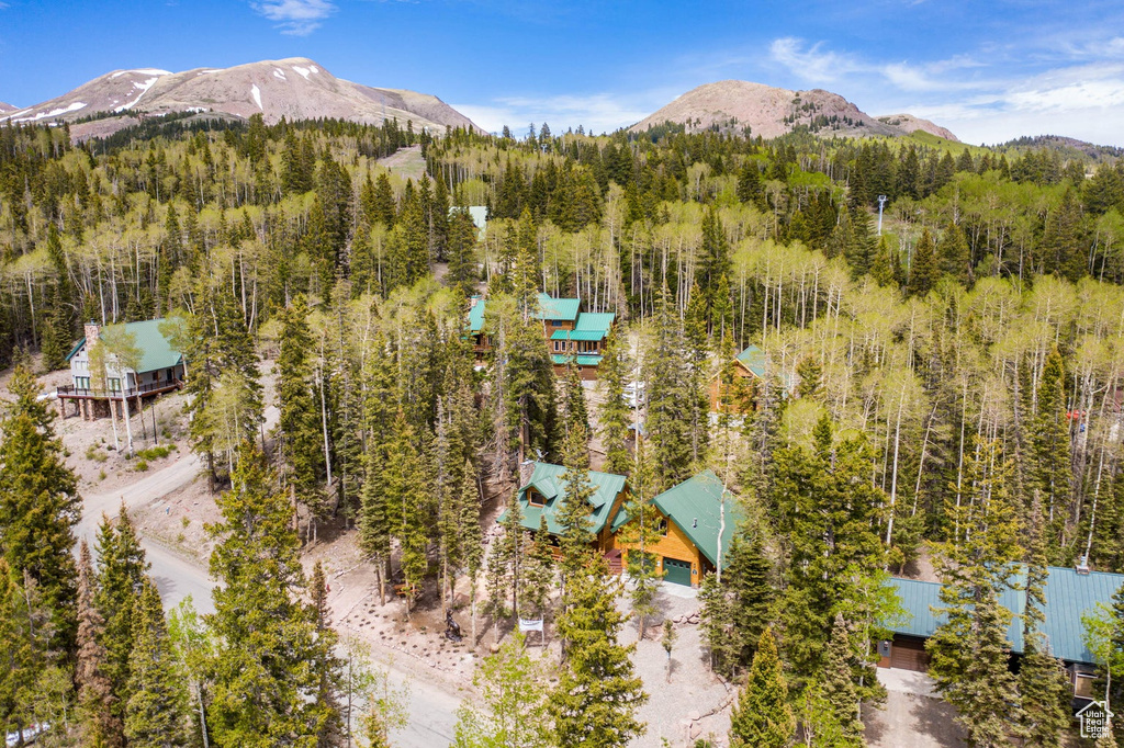 Bird's eye view with a mountain view