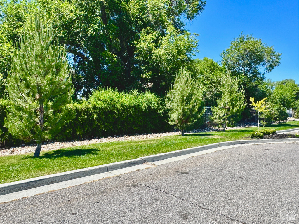 View of asphalt road with curbs