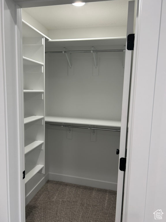 Spacious closet featuring dark carpet