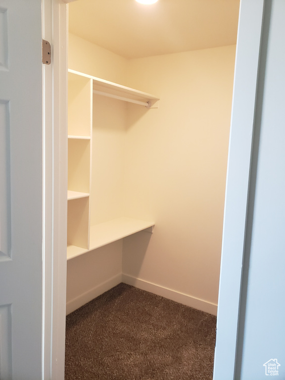 Walk in closet with dark colored carpet