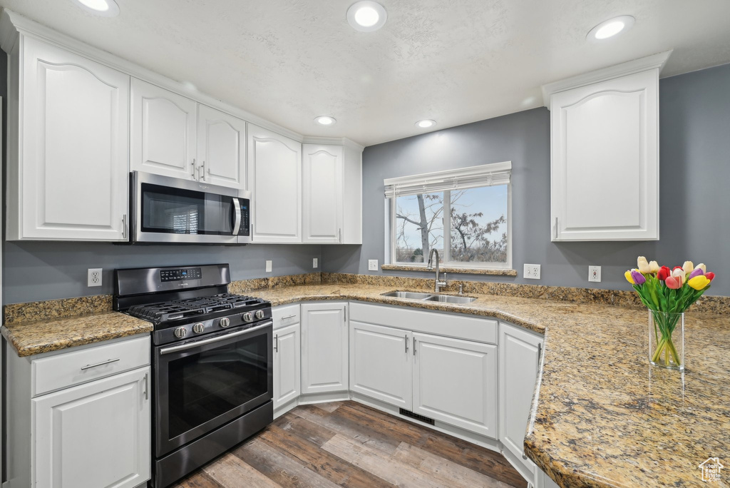 Kitchen featuring dark wood finished floors, stainless steel appliances, a sink, and recessed lighting