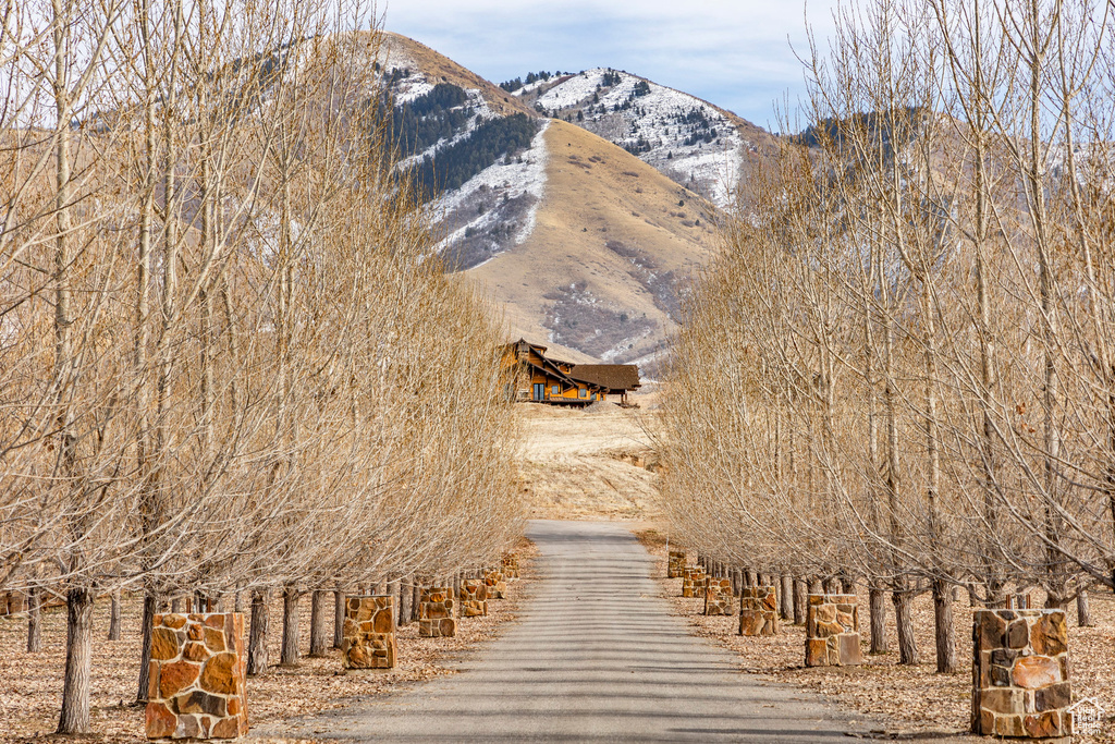 View of mountain backdrop