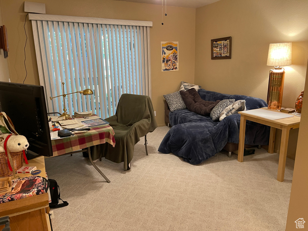 Bedroom with carpet flooring