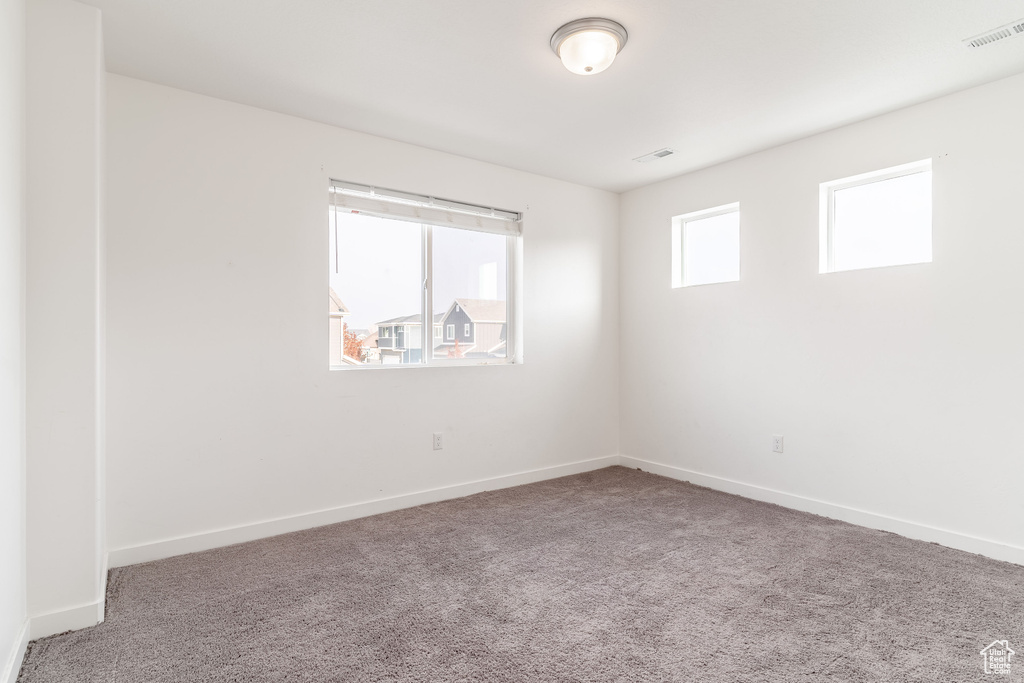 Unfurnished room with carpet and a healthy amount of sunlight