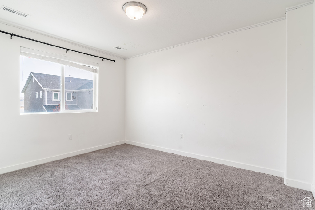 Carpeted spare room with ornamental molding
