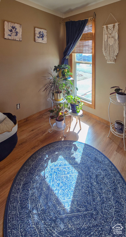 Living area featuring baseboards and wood finished floors