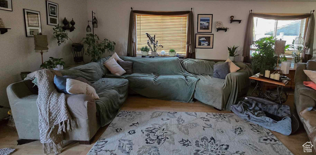 Living room featuring light hardwood / wood-style floors