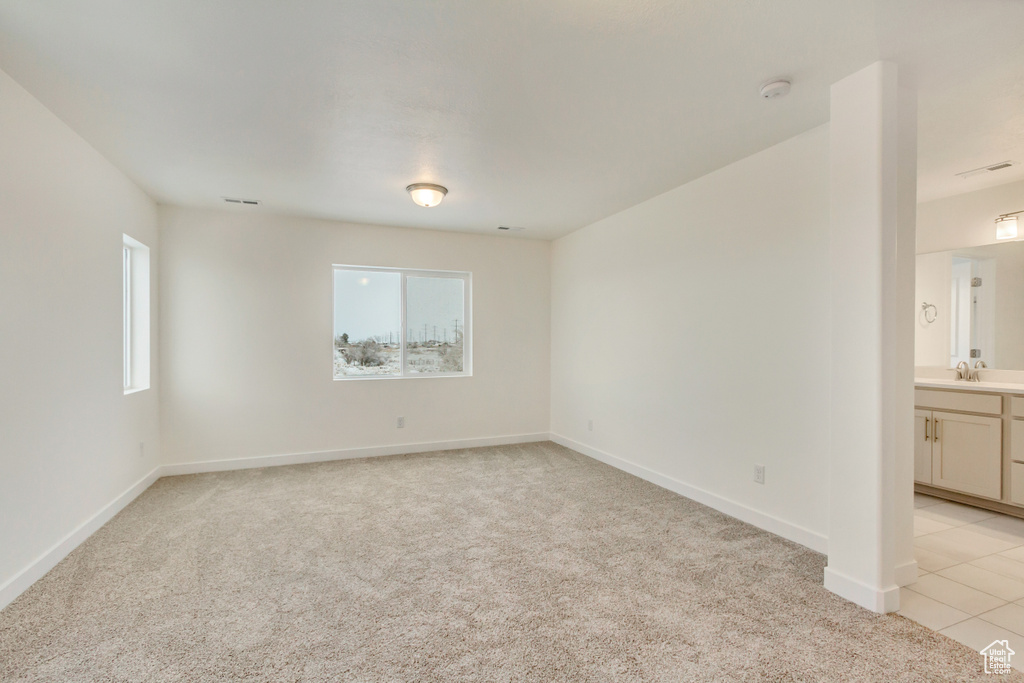Unfurnished room featuring a sink, plenty of natural light, and light carpet