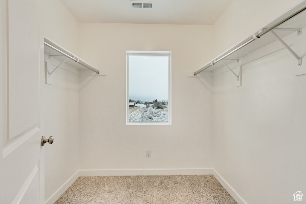 Spacious closet featuring visible vents and carpet