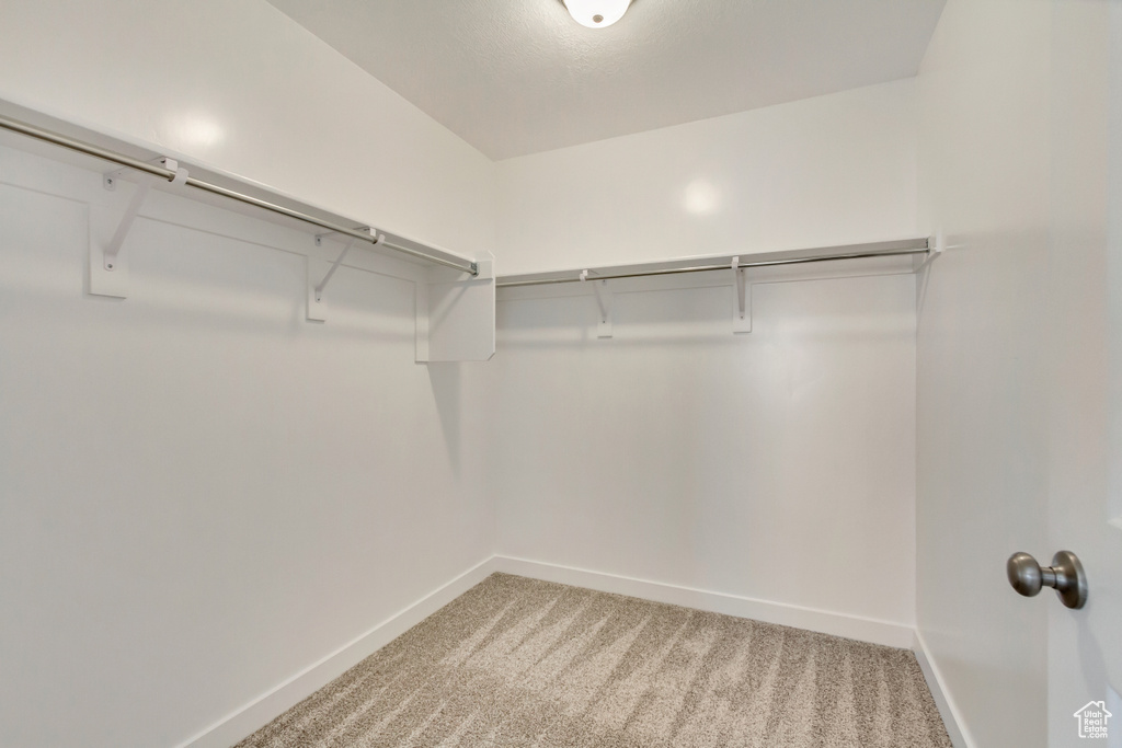 Spacious closet featuring light carpet