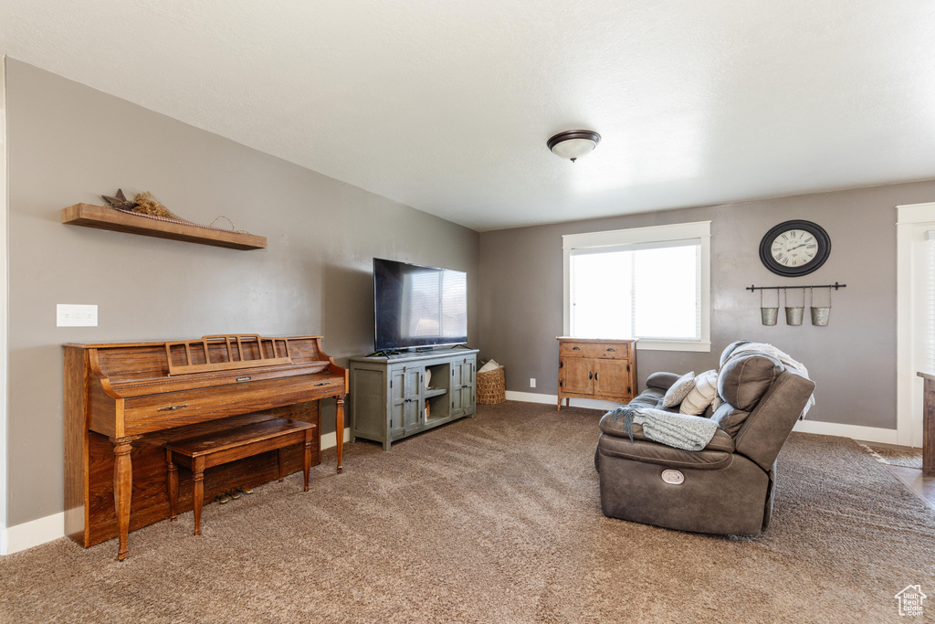 Living room with carpet floors and baseboards