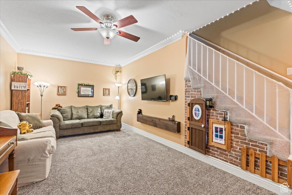 Carpeted living room with ceiling fan and ornamental molding