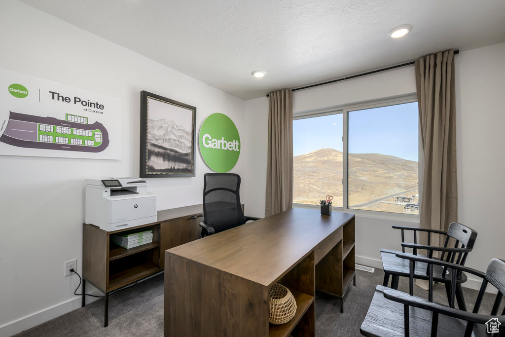 Office space with dark carpet, baseboards, and a mountain view