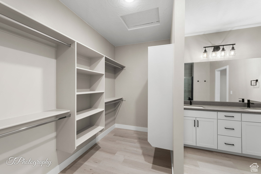 Spacious closet with sink and light hardwood / wood-style flooring