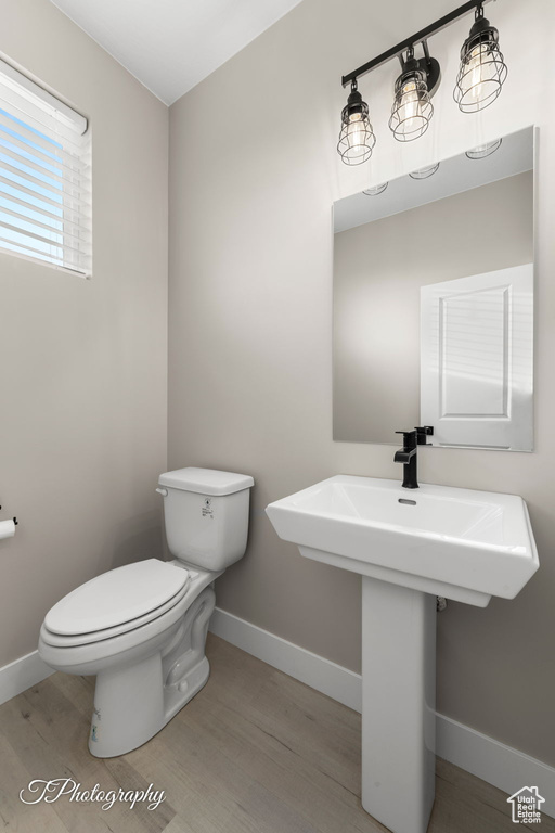 Bathroom with hardwood / wood-style flooring, toilet, and sink