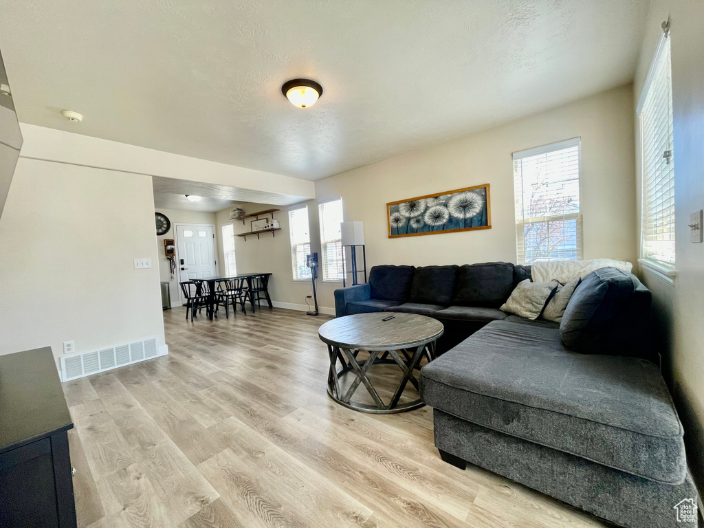 Living room featuring light wood-type flooring