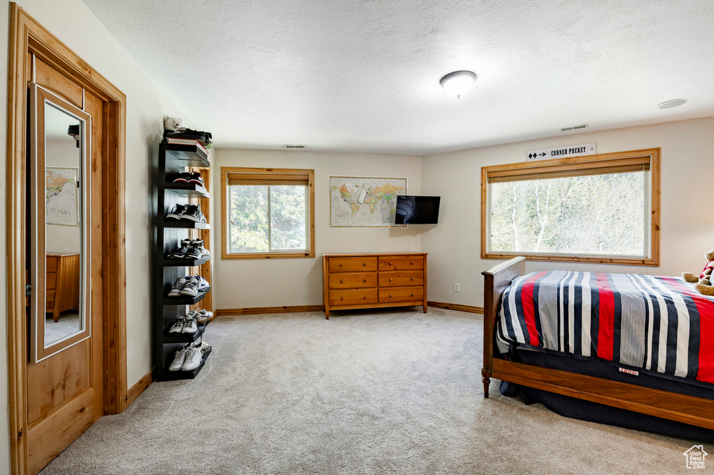 Carpeted bedroom featuring multiple windows, baseboards, and a textured ceiling
