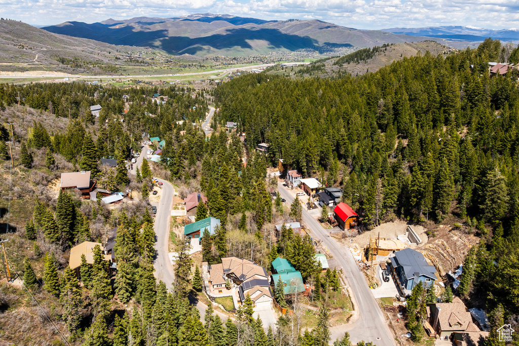 Drone / aerial view of a mountain backdrop and a forest