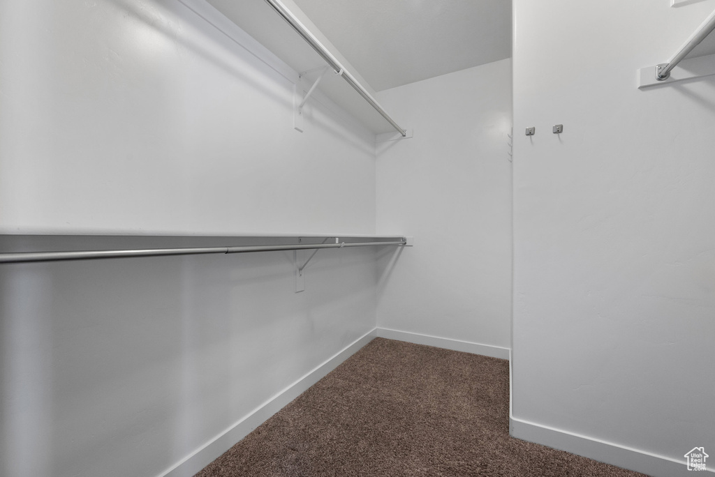Walk in closet with dark colored carpet