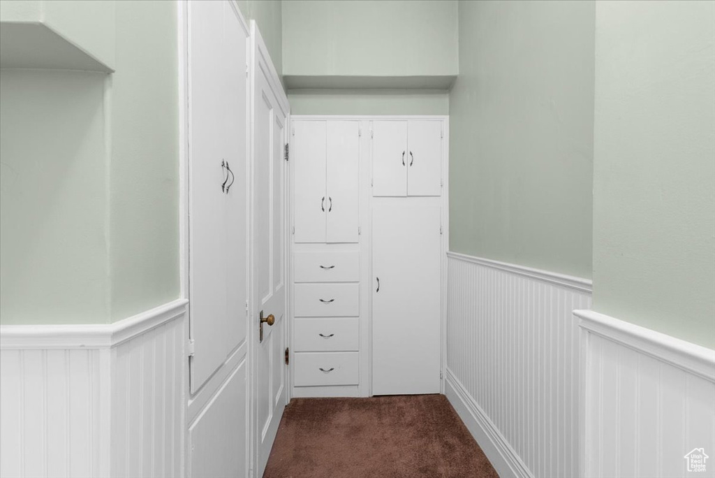 Spacious closet with carpet