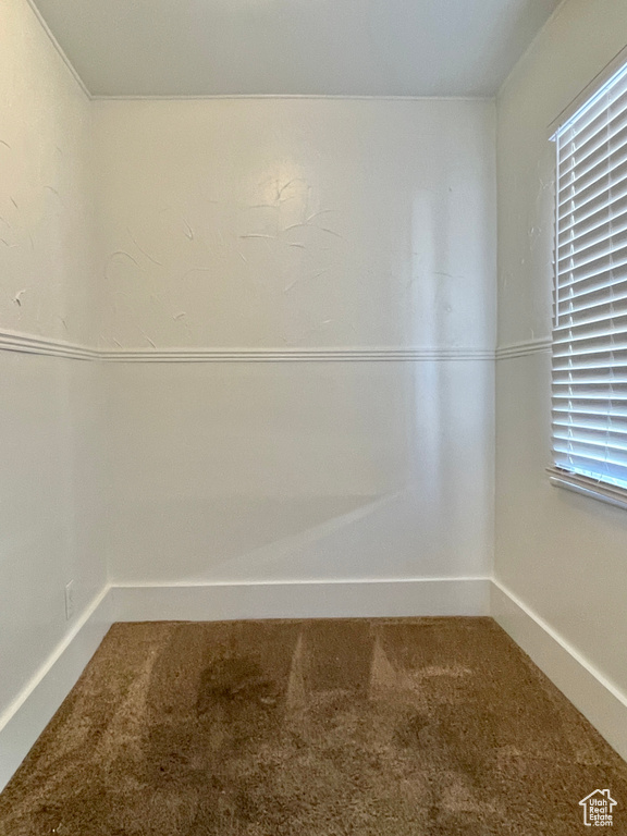 Unfurnished room featuring carpet floors