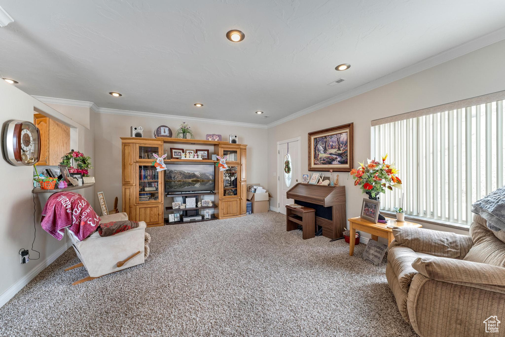 Living room with crown molding and carpet