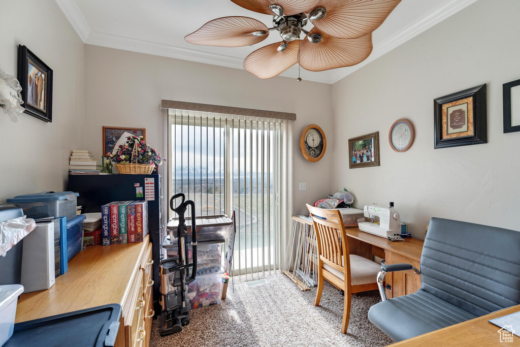 Carpeted office space with ceiling fan and crown molding