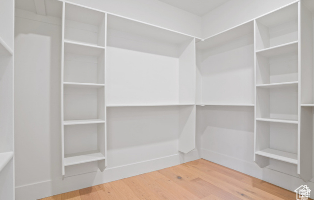 Spacious closet featuring wood-type flooring