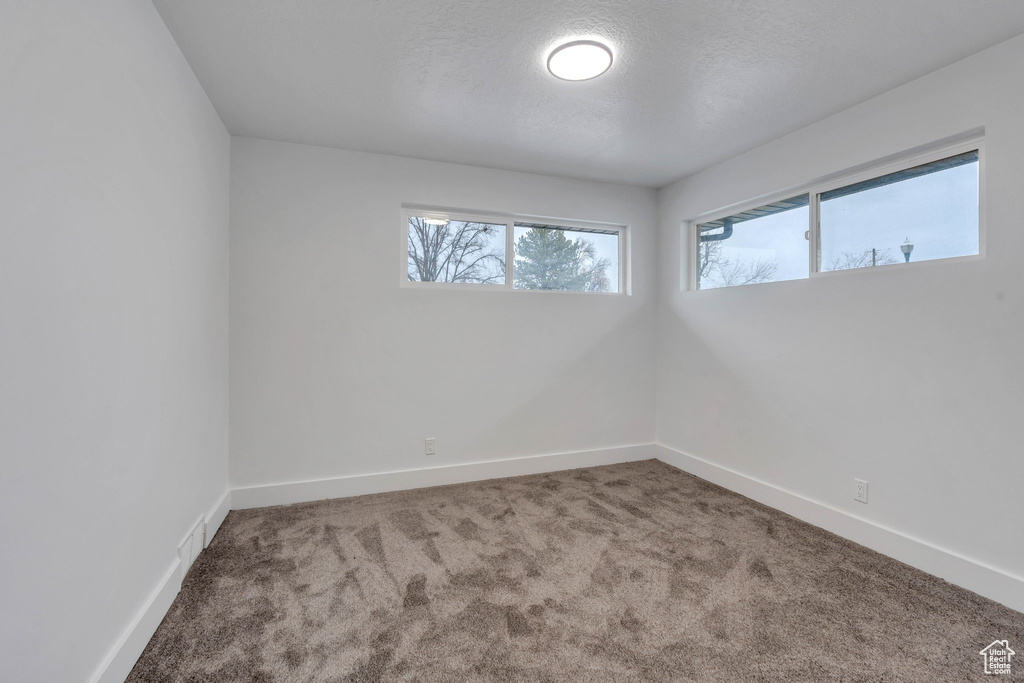 Unfurnished room with carpet floors and a textured ceiling