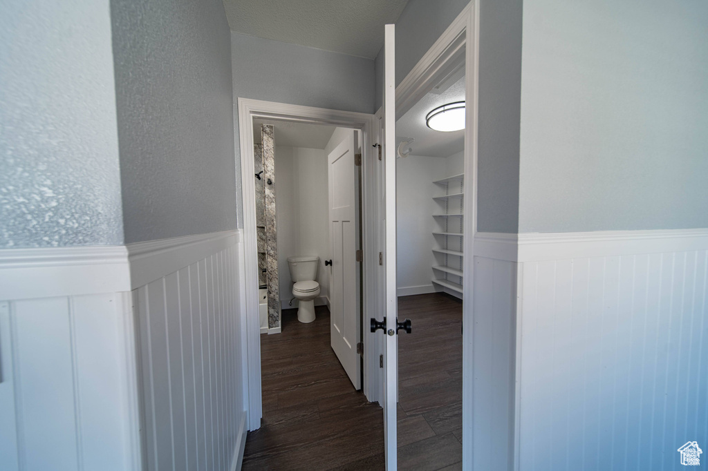 Hall featuring dark hardwood / wood-style flooring