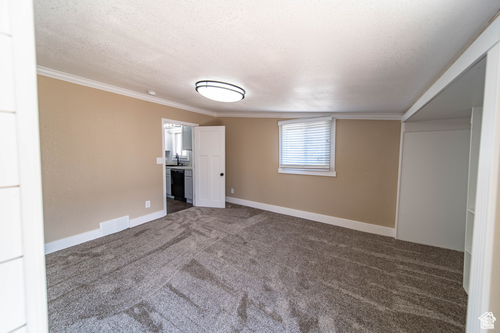 Spare room with carpet flooring, crown molding, sink, and a textured ceiling