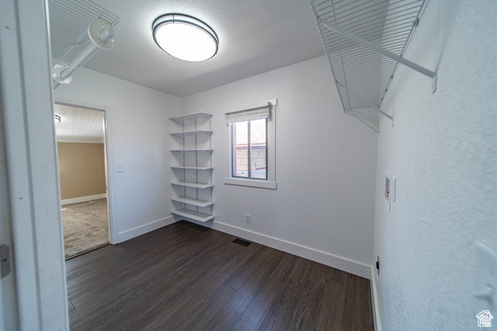Walk in closet with dark hardwood / wood-style flooring