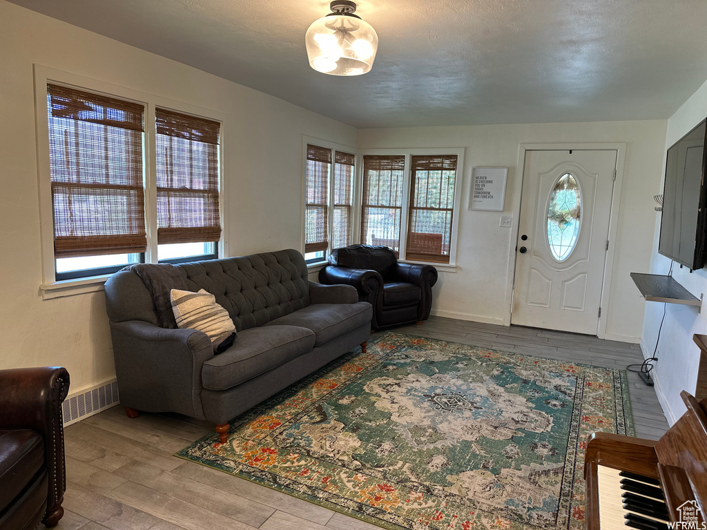 Living room with wood-type flooring