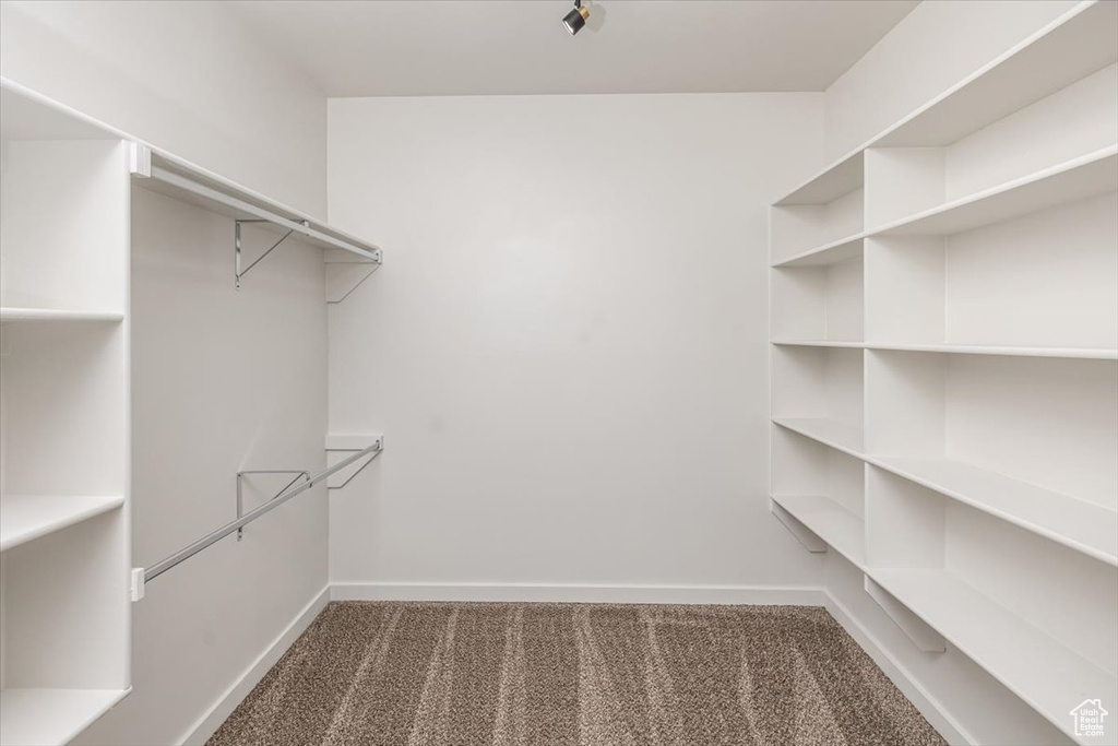 Walk in closet featuring dark carpet