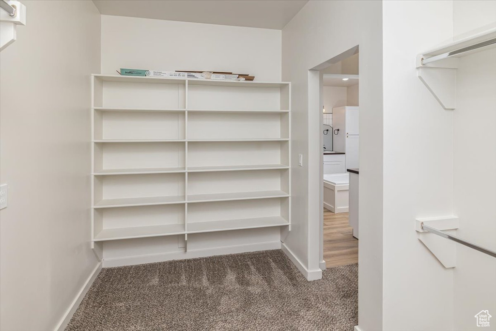 Spacious closet with dark colored carpet