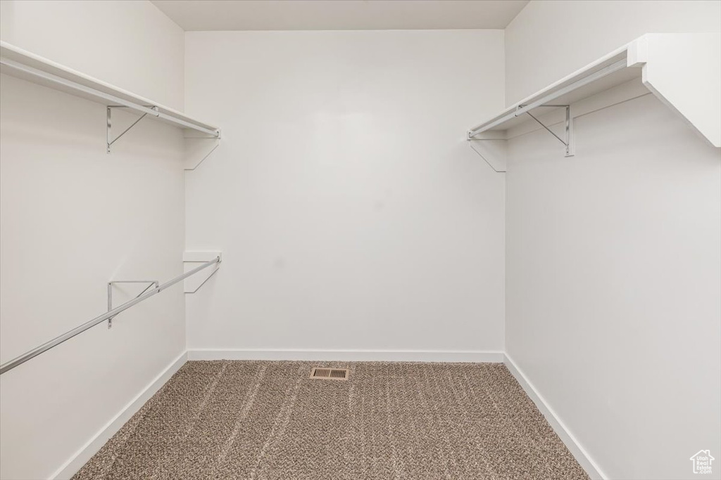 Walk in closet featuring carpet